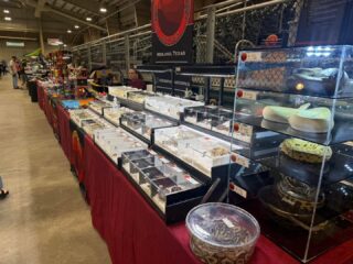 Join us all weekend here in Corpus Christi, we have a lot of snakes and 3D for you to see!
.
.
.
#royalpythonsofinstagram #royalpythonsofig #royalpythons #royalpythonmorphs #royalpythonbreeder #royalpython #desertsedgeexotics #ballpythonbreeder #reptilesofinstagram #ballpythonmorph #ballpythonofinstagram #ballpython #ballpythonmorphs #reptilebreeder #ballpythonsofinstagram #reptilekeeper #ballpythonbreeding #reptiles #snakesofinstagram #reptileexpo #reptileexpos #corpus #corpuschristi #corpuschristitx #corpuschristitexas