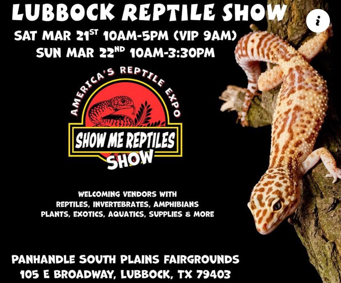 We had a ton of fun at the Permian Basin Comicon X as always, but now back to Reptile shows!  Next up is the Brand New Lubbock Show Me Reptile Show this weekend! 

We hope to see everyone there!

.
.
.

 #royalpythonsofinstagram #royalpythonsofig #royalpythons #royalpythonmorphs #royalpythonbreeder #royalpython #desertsedgeexotics #ballpythonbreeder #reptilesofinstagram #ballpythonmorph #ballpythonofinstagram #ballpython #ballpythonmorphs #reptilebreeder #ballpythonsofinstagram #reptilekeeper #ballpythonbreeding #reptiles #snakesofinstagram #ShowMeReptileShow #showmereptileshow #lubbock #lubbocktx #lubbocktexas
