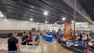 Day two of the Albuquerque Show Me Reptiles Show is open!