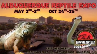The Odessa show was amazing as always, so thankful for our local customers that come out to support us and the show.  Next Odessa show is in July!

In the meantime I decided to go ahead and do the Albuquerque show next weekend!  We will only have our 3D and Dry goods, no snakes or frozen at this one, though I might take feeder insects up with me.  Going to be in Albuquerque for work anyhow so might as well add a show! 

Looking forward to seeing folks in New Mexico.  Next up after that is the following weekend in Denton, Texas.

.
.
.

 #royalpythonsofinstagram #royalpythonsofig #royalpythons #royalpythonmorphs #royalpythonbreeder #royalpython #desertsedgeexotics #ballpythonbreeder #reptilesofinstagram #ballpythonmorph #ballpythonofinstagram #ballpython #ballpythonmorphs #reptilebreeder #ballpythonsofinstagram #reptilekeeper #ballpythonbreeding #reptiles #snakesofinstagram #NewMexico #newmexico #albuquerque #ShowMeReptileShow #showmereptileshow