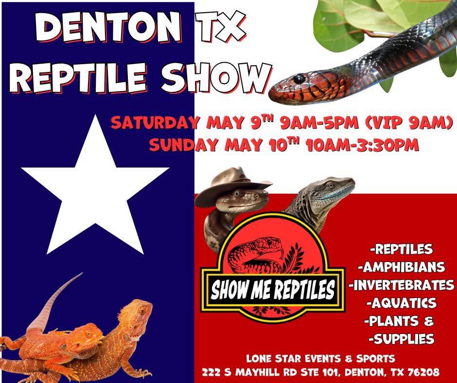 Albuquerque did not disappoint!  We had a great time in New Mexico and look forward to returning for future shows. 

In the meantime, our next show is next weekend in Denton, TX!  Come see us and see if I can stay awake for four weekends of shows in a row!

.
.
.

#royalpythonsofinstagram #royalpythonsofig #royalpythons #royalpythonmorphs #royalpythonbreeder #royalpython #desertsedgeexotics #ballpythonbreeder #reptilesofinstagram #ballpythonmorph #ballpythonofinstagram #ballpython #ballpythonmorphs #reptilebreeder #ballpythonsofinstagram #reptilekeeper #ballpythonbreeding #reptiles #snakesofinstagram #denton #dentontx #showmereptilesandexoticsshow #showmereptileandexoticsshow #showmereptileshows