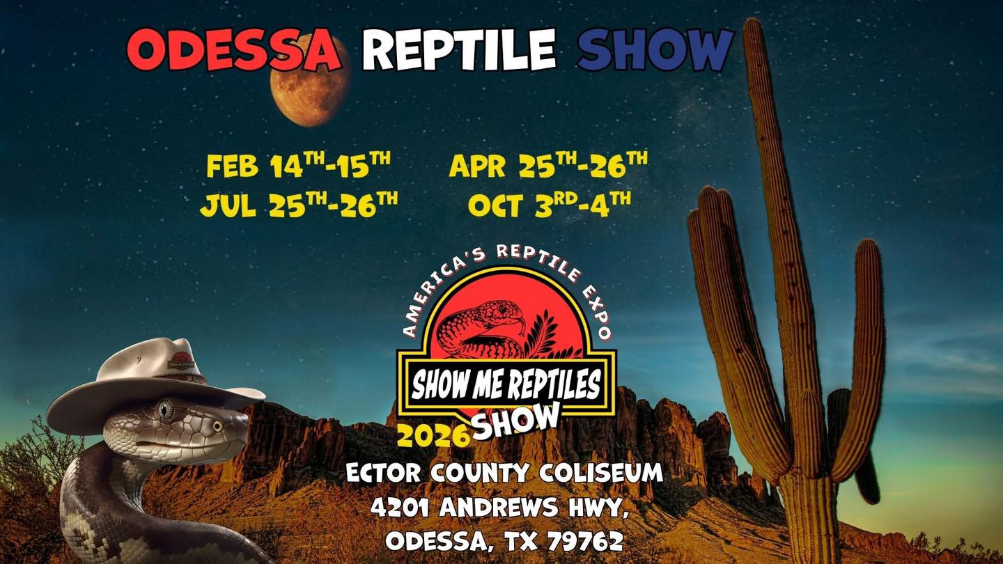 This weekend you’ll find us in Odessa at the Show me reptile show Ector County coliseum Building D (different building than we have ever been in before). 

We will have all our usual stuff for the Odessa show, plus some flightless fruit flies!

.
.
.

#royalpythonsofinstagram #royalpythonsofig #royalpythons #royalpythonmorphs #royalpythonbreeder #royalpython #desertsedgeexotics #ballpythonbreeder #reptilesofinstagram #ballpythonmorph #ballpythonofinstagram #ballpython #ballpythonmorphs #reptilebreeder #ballpythonsofinstagram #reptilekeeper #ballpythonbreeding #reptiles #snakesofinstagram
